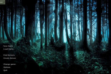 Mysterious Forest HD