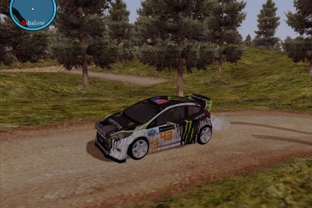 Forest Rally